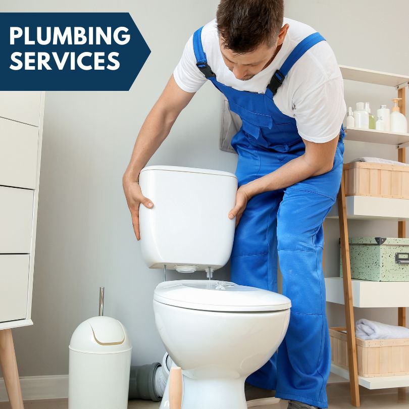 Plumbing Company in Saybrook, IL